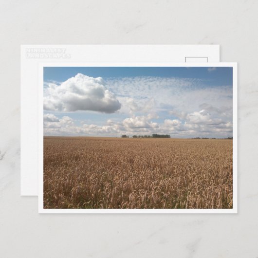 Puck (Polen) Postkarte (Vorne/Hinten)