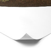 Puck Print von Richard Dadd Poster (Ecke)