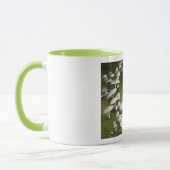 Puck Tasse (Links)