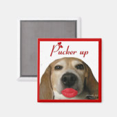 Pucker Up Beagle Magnet (Vorderseite/Rückseite)