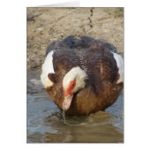 Puddeln spielen (Vorne)