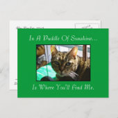Puddle der Sunshine Postkarte (Vorne/Hinten)
