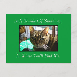 Puddle der Sunshine Postkarte