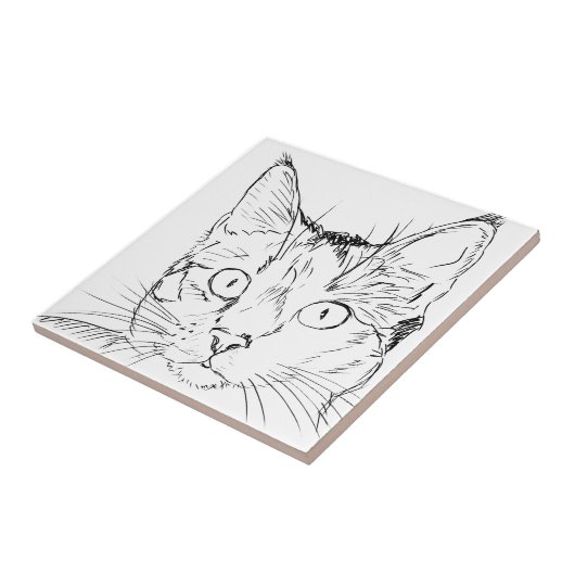 Puddy Cat Fliese (Seite)