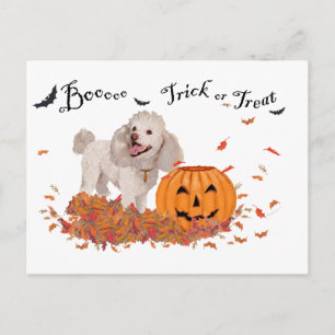 Pudel an Halloween Postkarte