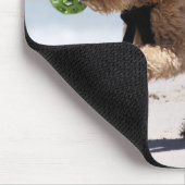 Pudel - Aprikose - Pudel-Spiel Mousepad (Ecke)