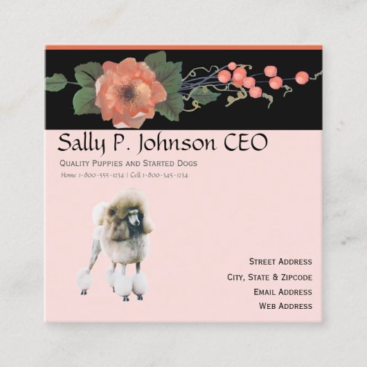 Pudel auf der schwarzen Melone mit Blumen Quadratische Visitenkarte (Vorderseite)