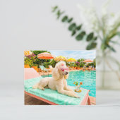 Pudel auf Liegestuhl Postkarte (Stehend Vorderseite)