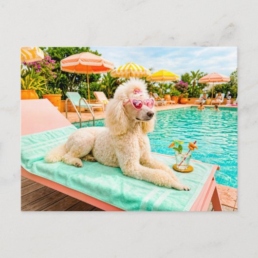 Pudel auf Liegestuhl Postkarte (Vorderseite)