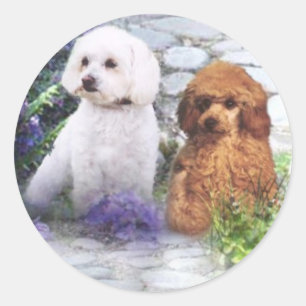 Pudel-AufkleberHydrangeas Runder Aufkleber