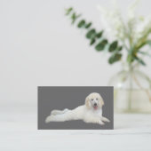 Pudel-Brüter-Visitenkarte Visitenkarte (Stehend Vorderseite)