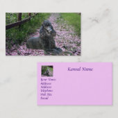 Pudel-Brüter-Visitenkarte Visitenkarte (Vorne/Hinten)