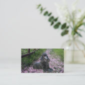 Pudel-Brüter-Visitenkarte Visitenkarte (Stehend Vorderseite)