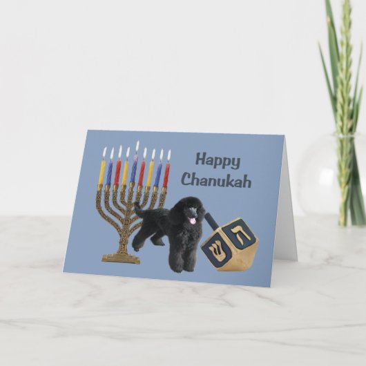 Pudel Chanukah Karte Menorah Dreidel (Vorderseite)
