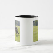 Pudel, der Frisbee spielt Tasse (Zentrum)