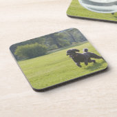 Pudel, der Frisbee spielt Untersetzer (Linke Seite)