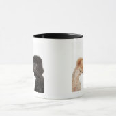 Pudel, die sich überprüfen tasse (Zentrum)