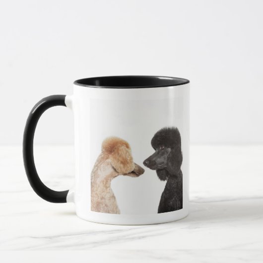 Pudel, die sich überprüfen tasse (Links)