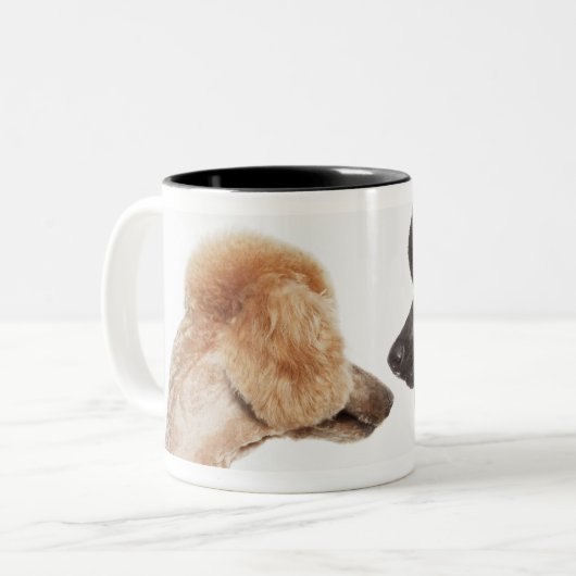 Pudel, die sich überprüfen zweifarbige tasse (Vorderseite Links)