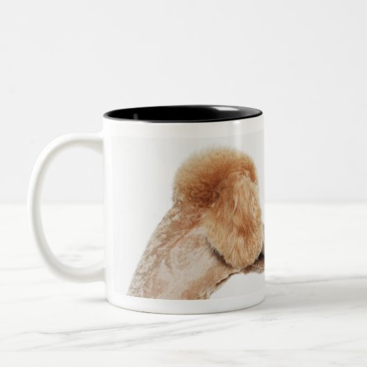 Pudel, die sich überprüfen zweifarbige tasse (Links)