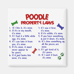 PUDEL Eigentums-Gesetze 2 Magnet