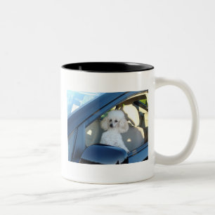 Pudel-Fahrer Zweifarbige Tasse