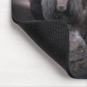 Pudel-Felsen Mousepad (Ecke)