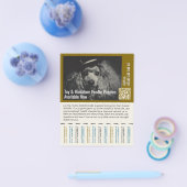 Pudel Flyer (Einzeln)