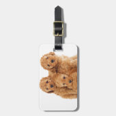 Pudel Gepäckanhänger (Vorderseite vertikal)