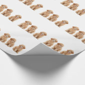 Pudel Geschenkpapier (Ecke)