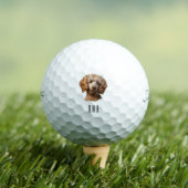 Pudel Golfball (Insitu T-Shirt)