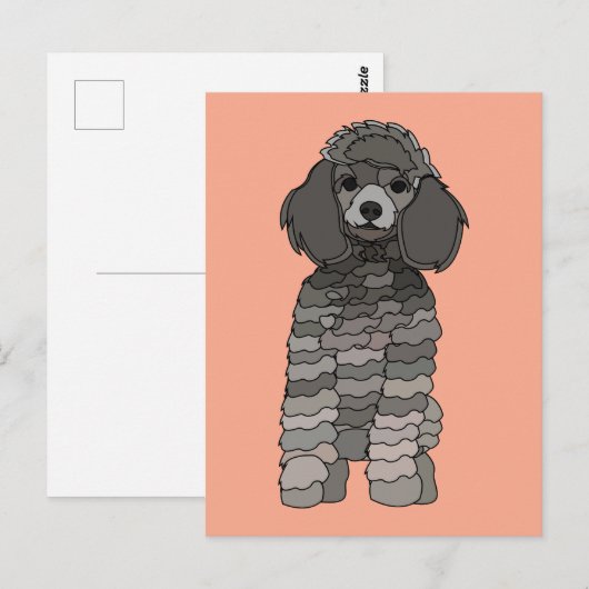 Pudel-Haustier Postkarte (Vorne/Hinten)
