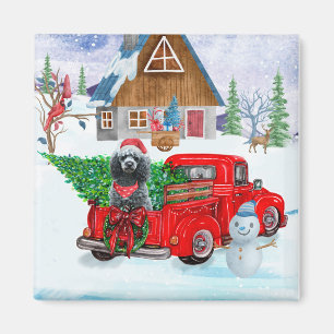 Pudel-Hund im Weihnachts-Lieferwagen Schnee Magnet