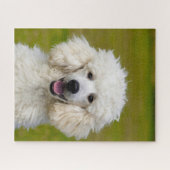 Pudel-Hunde. Puzzle (Horizontal)