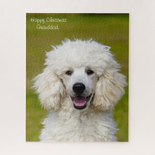 Pudel Hunde. Puzzle