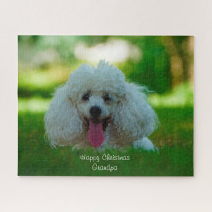 Pudel-Hunde. Puzzle