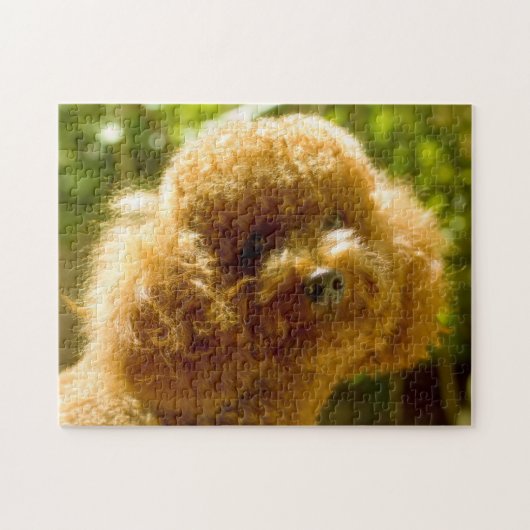 Pudel-Hunde. Puzzle (Horizontal)