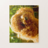 Pudel-Hunde. Puzzle (Vertikal)