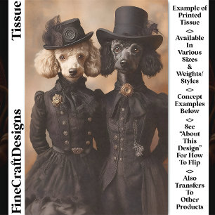 Pudel Hunde Schwarze viktorianische Outfits CP4 De Seidenpapier