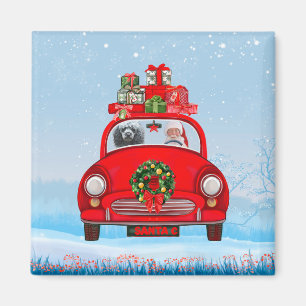 Pudel im Auto mit dem Weihnachtsmann Magnet