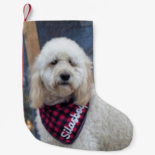 Pudel Kleiner Weihnachtsstrumpf