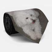 Pudel Krawatte (Gerollt)
