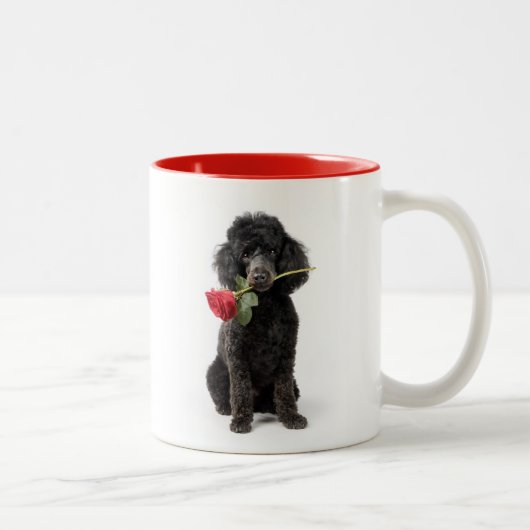 Pudel Liebe Zweifarbige Tasse (Rechts)