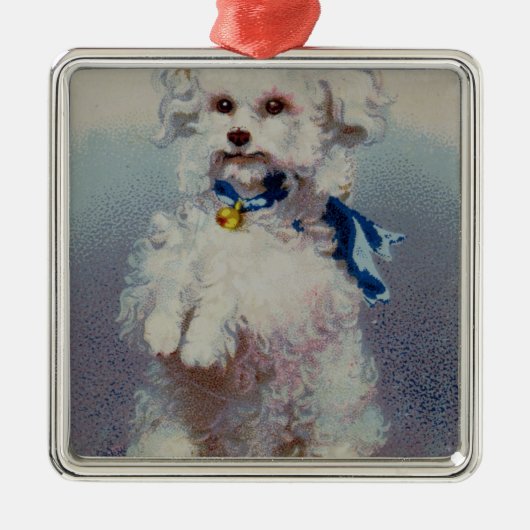 Pudel mit blauem Band Silbernes Ornament (Vorne)