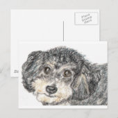 PUDEL POSTKARTE (Vorne/Hinten)