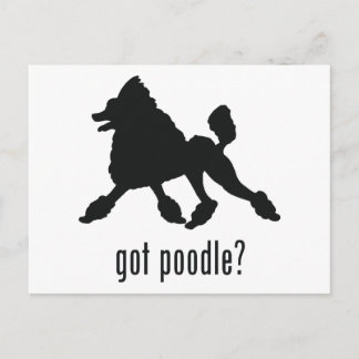 Pudel Postkarte
