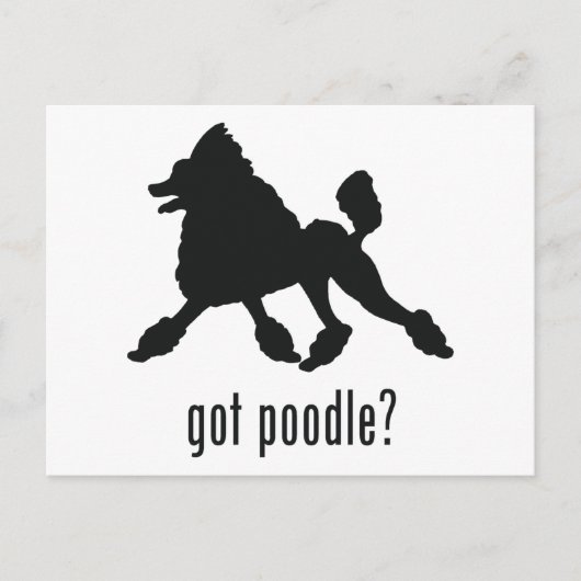 Pudel Postkarte (Vorderseite)