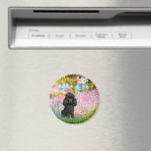 Pudel (schwarz 1) - Garten Magnet (In Situ (Geschirrspüler))