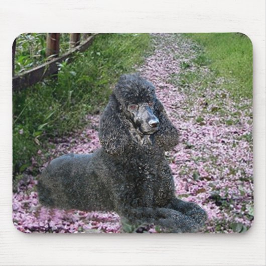 Pudel schwarze Mousepad lila Blumen (Vorne)