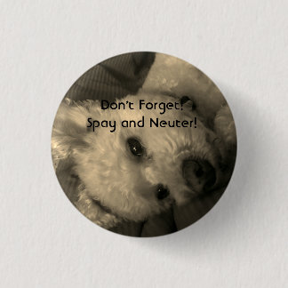 Pudel Spay und neutralisieren Promo-Knopf Button